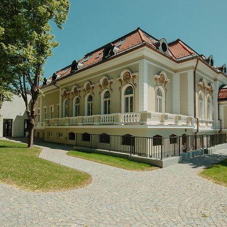 Boutique Hotel Cocosul De Aur Târgu-Mureş Exterior foto